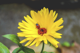 Különös november….