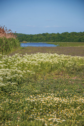 Hortobágyi Nemzeti Park