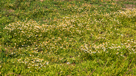 Hortobágyi Nemzeti Park