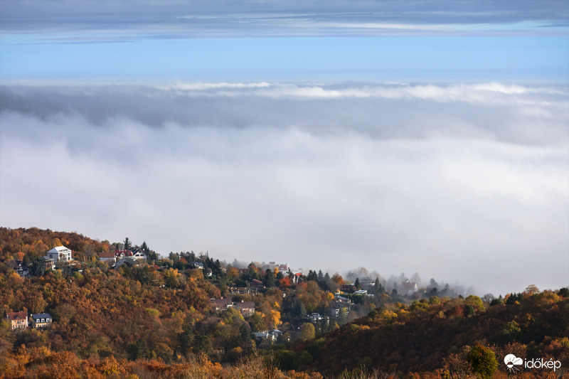 Ködtenger határán... (Normafa)