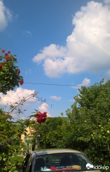 Ajka