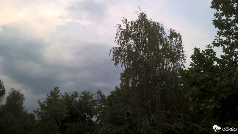 Ajka