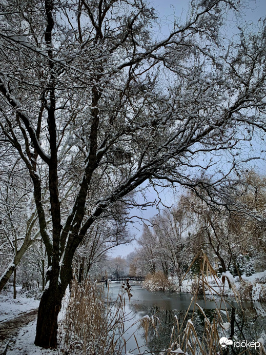 Téli sétány_4