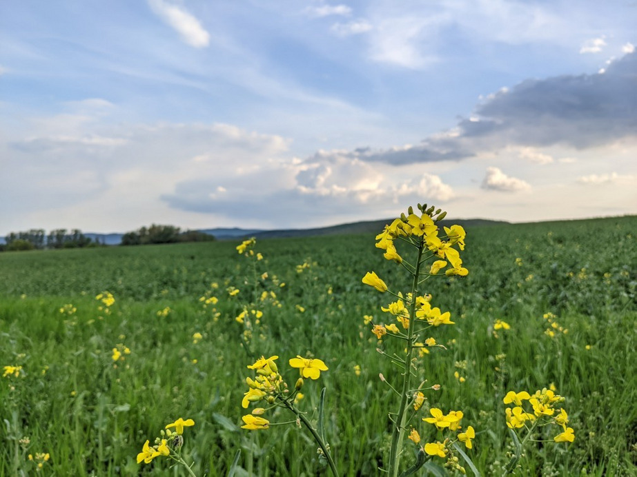 Pilisszántó