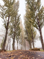 Balatongyörök sétány