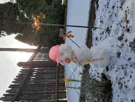 Szilveszter a hóember :)