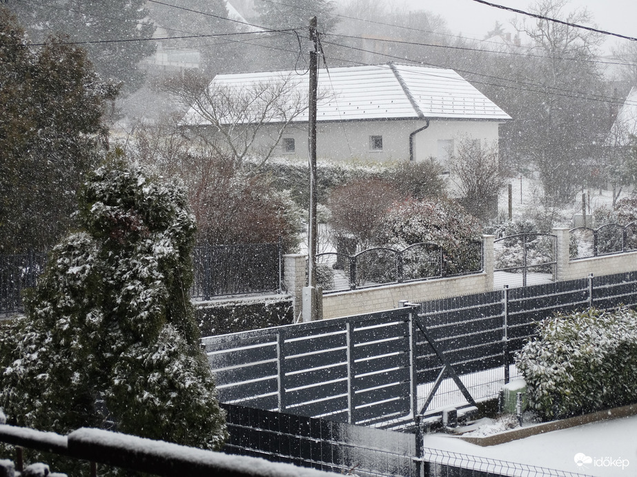 Észlelési fényképek