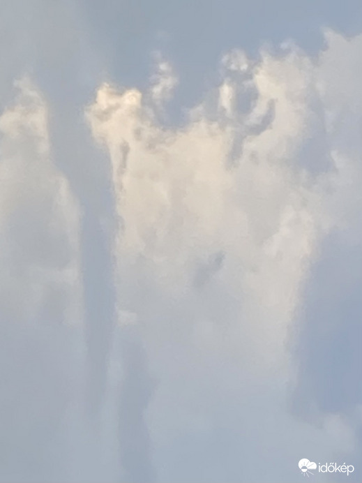 KUNMADARASI TUBA