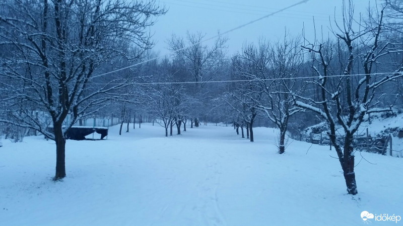 Észlelési fényképek