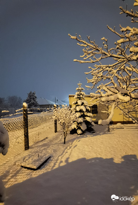 Észlelési fényképek