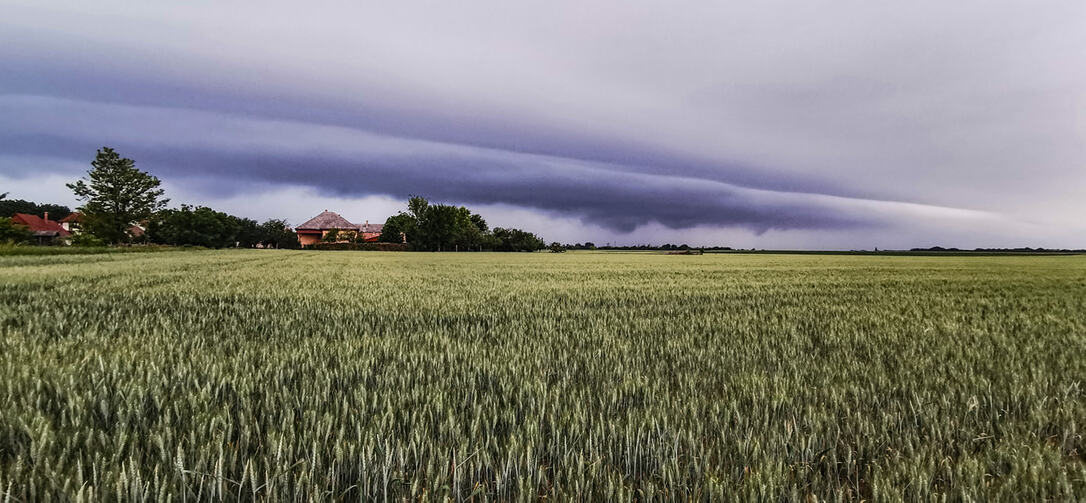 Fotó: Vörös Zsolt