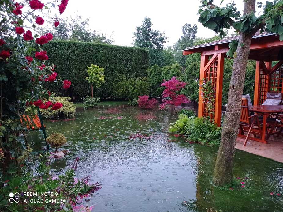 Tavacska lett a kertből - Fotó: Mónika Juhászné K.