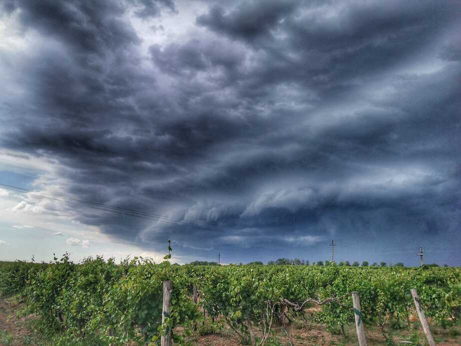 Fotó: Molnár Gergely, Ceglédbercel