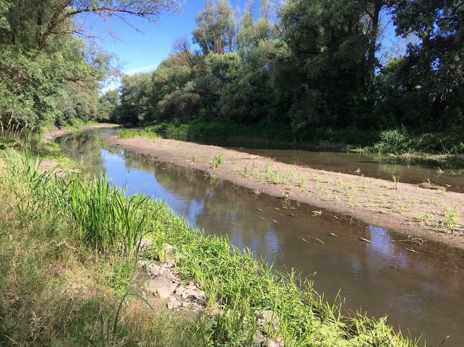 Fotó: Facebook/Gróf Gyula