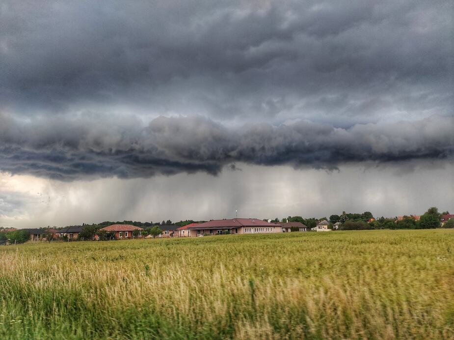 Fotó: Szalai-Patyi Dóra