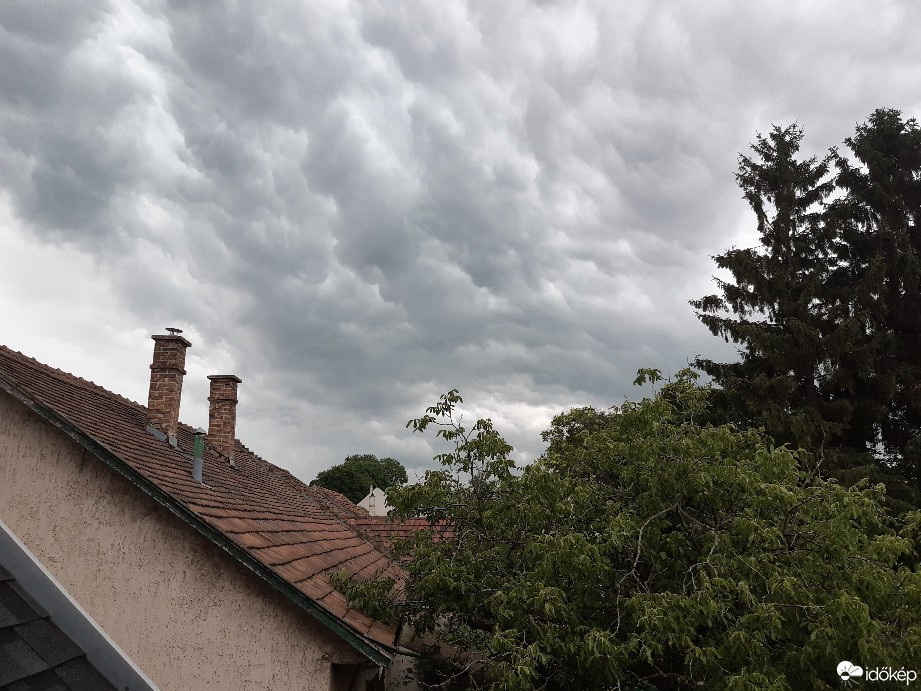 Észlelési fényképek