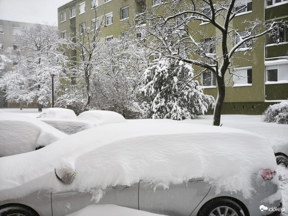 Észlelési fényképek