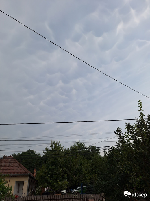 Észlelési fényképek