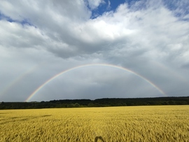 Szivárvány Nagykanizsa mellett.