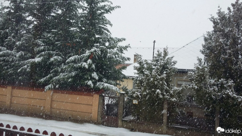 Észlelési fényképek