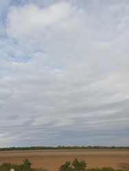Sarkad