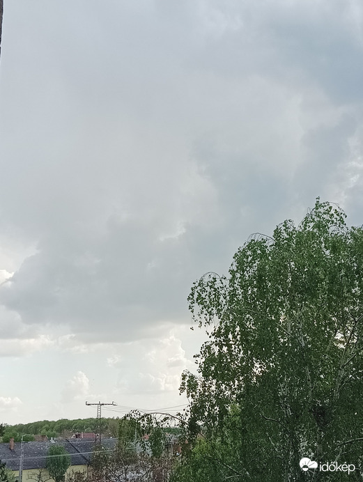 Gyula