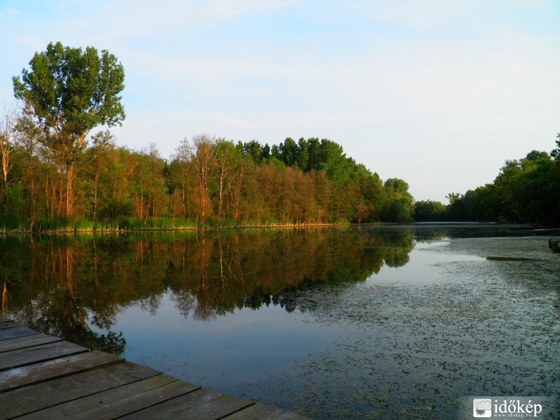 Tisza Holtág 2