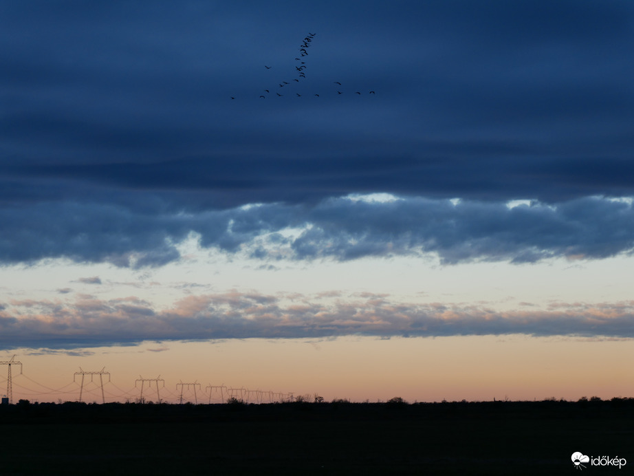 Hortobágyi vonuló darvak 