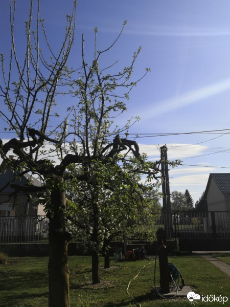 Észlelési fényképek