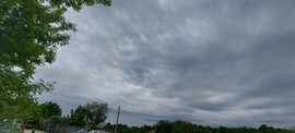 Környe