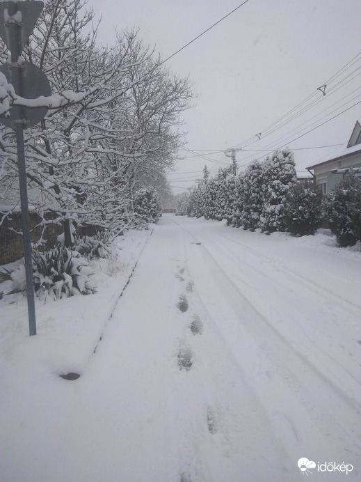 Észlelési fényképek