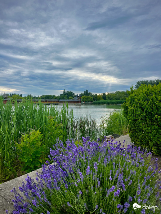 Balaton