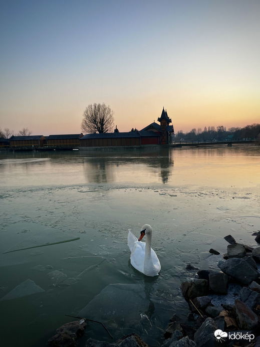 Jegesedő Balaton Keszthelyen