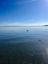 15 fok, szikrázó napsütés