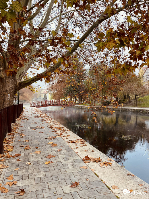 Novemberi tópart II.