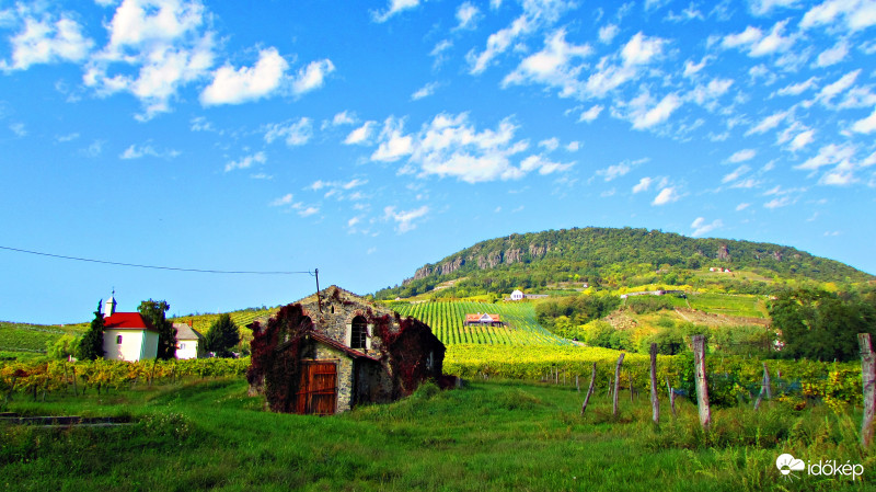 Őszi Badacsony