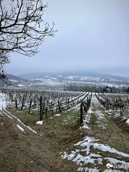 Ködbe burkolózott a Badacsony