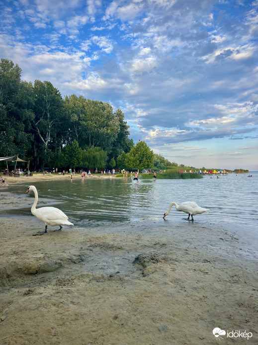 szigetvarireka fotója