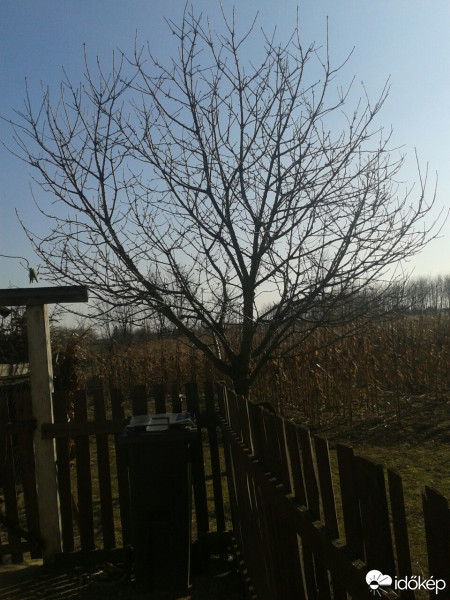 Észlelési fényképek