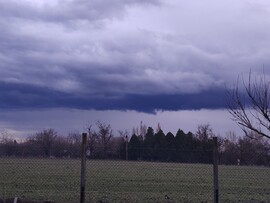 Hódmezővásárhely