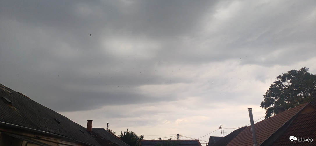 Észlelési fényképek