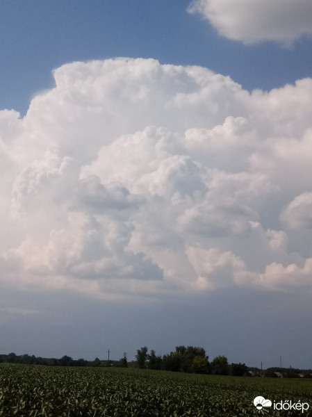 Észlelési fényképek