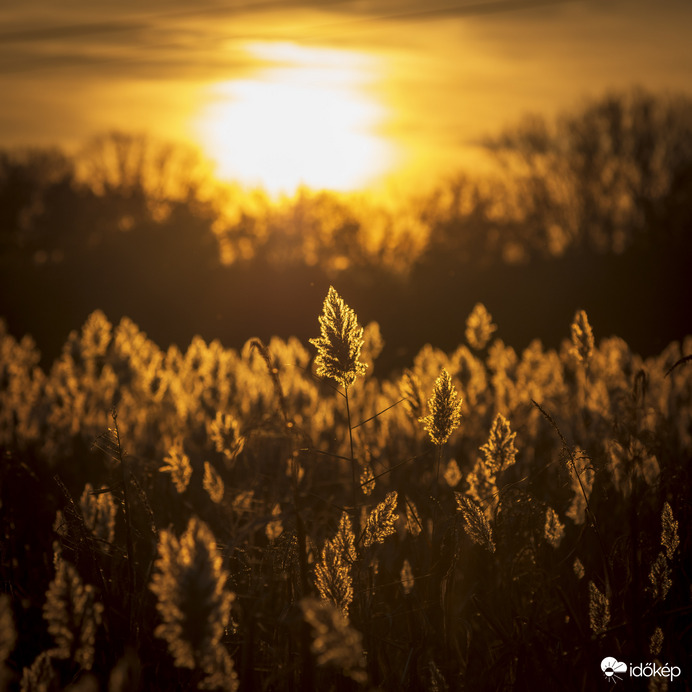 Őszi naplemente 2.