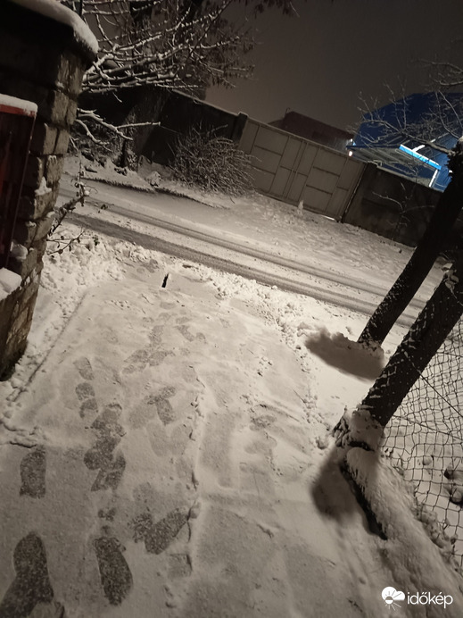 Észlelési fényképek