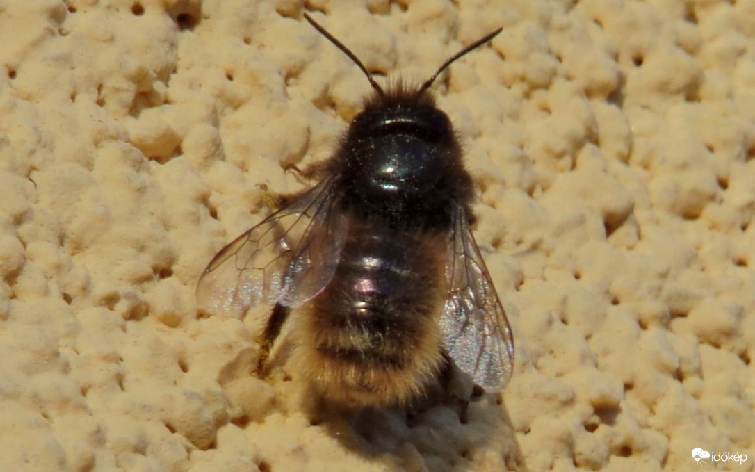 Kis szépség megpihen :)