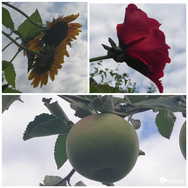 Jó reggelt kívánok Mindenkinek!