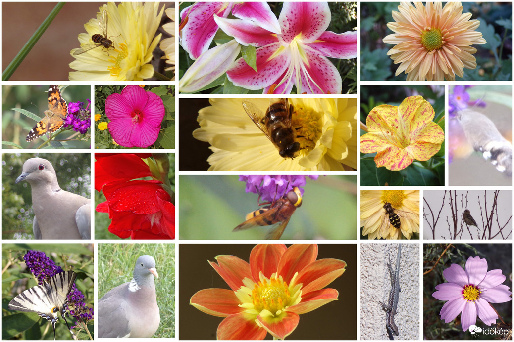 Boldog Új Évet kívánok mindenkinek! 