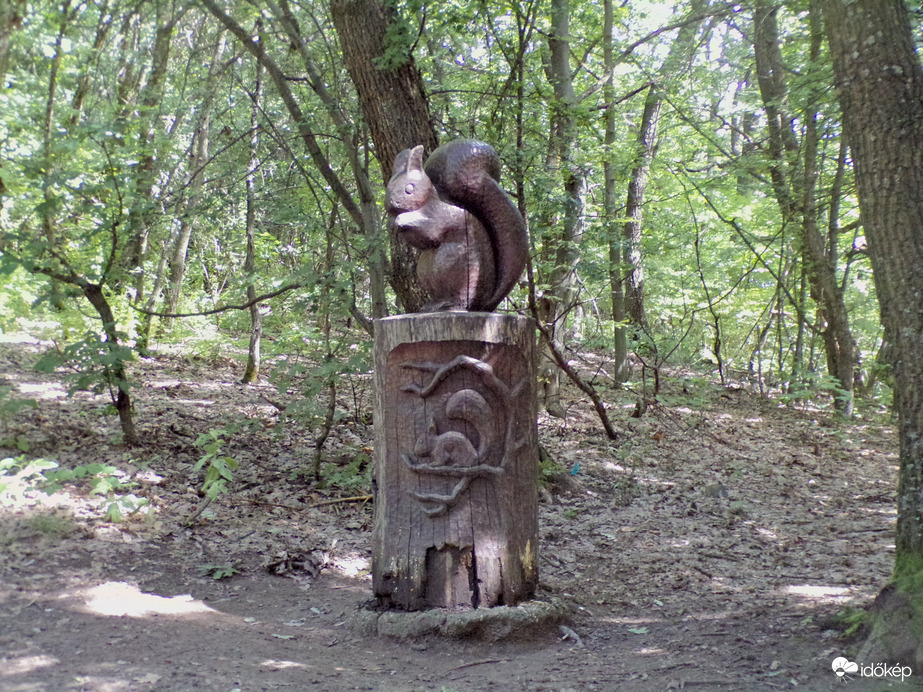 Mókus szobor a Salgótarjáni erdőben 