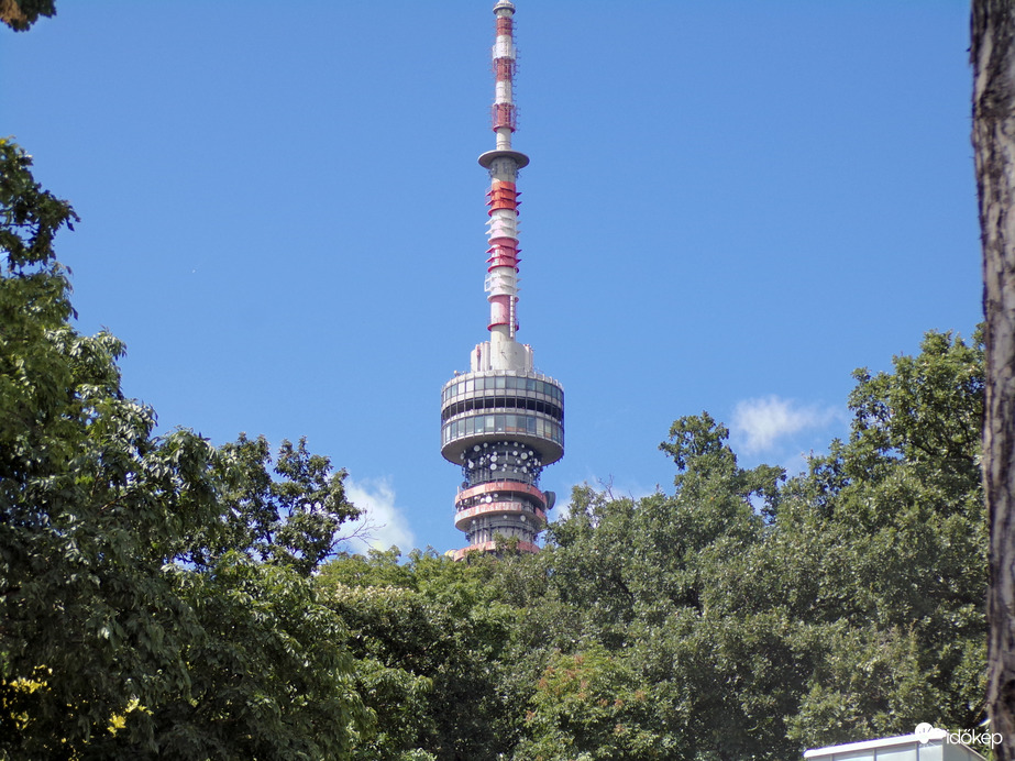 Tv-torony látványa a Pécsi Állatkert és Akvárium-Terráriumból