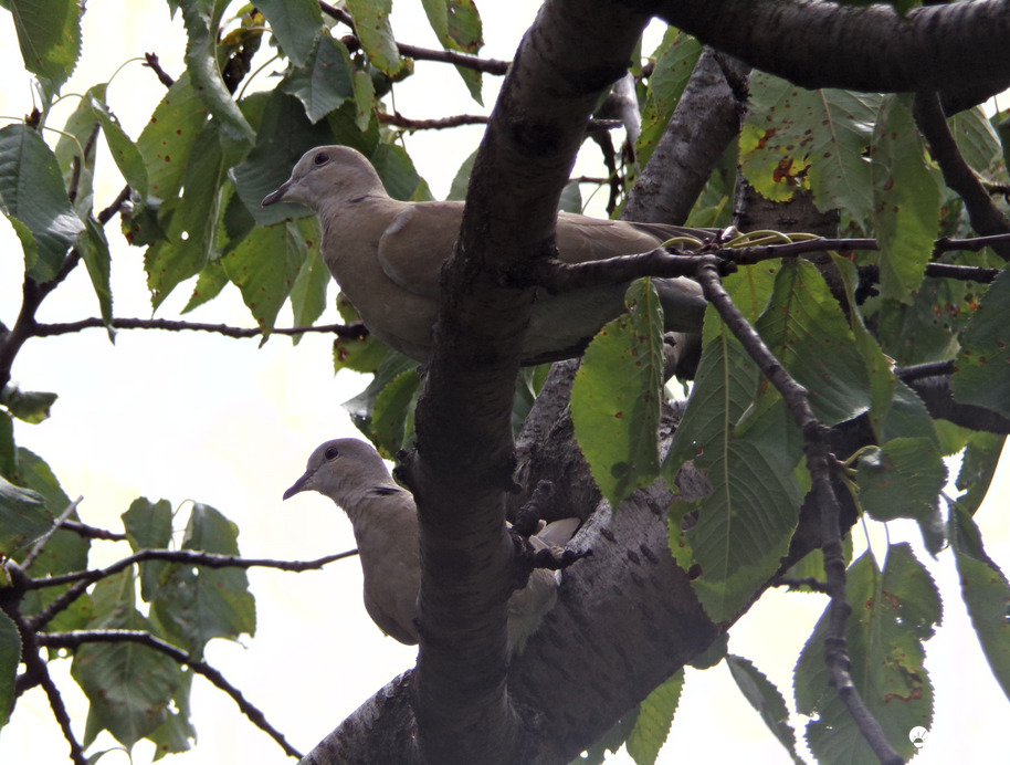 Tesóval nagyon jó nézelődni :)